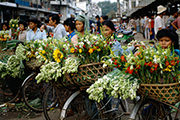 カンボジア　プノンペン　花を売る少女　1990年